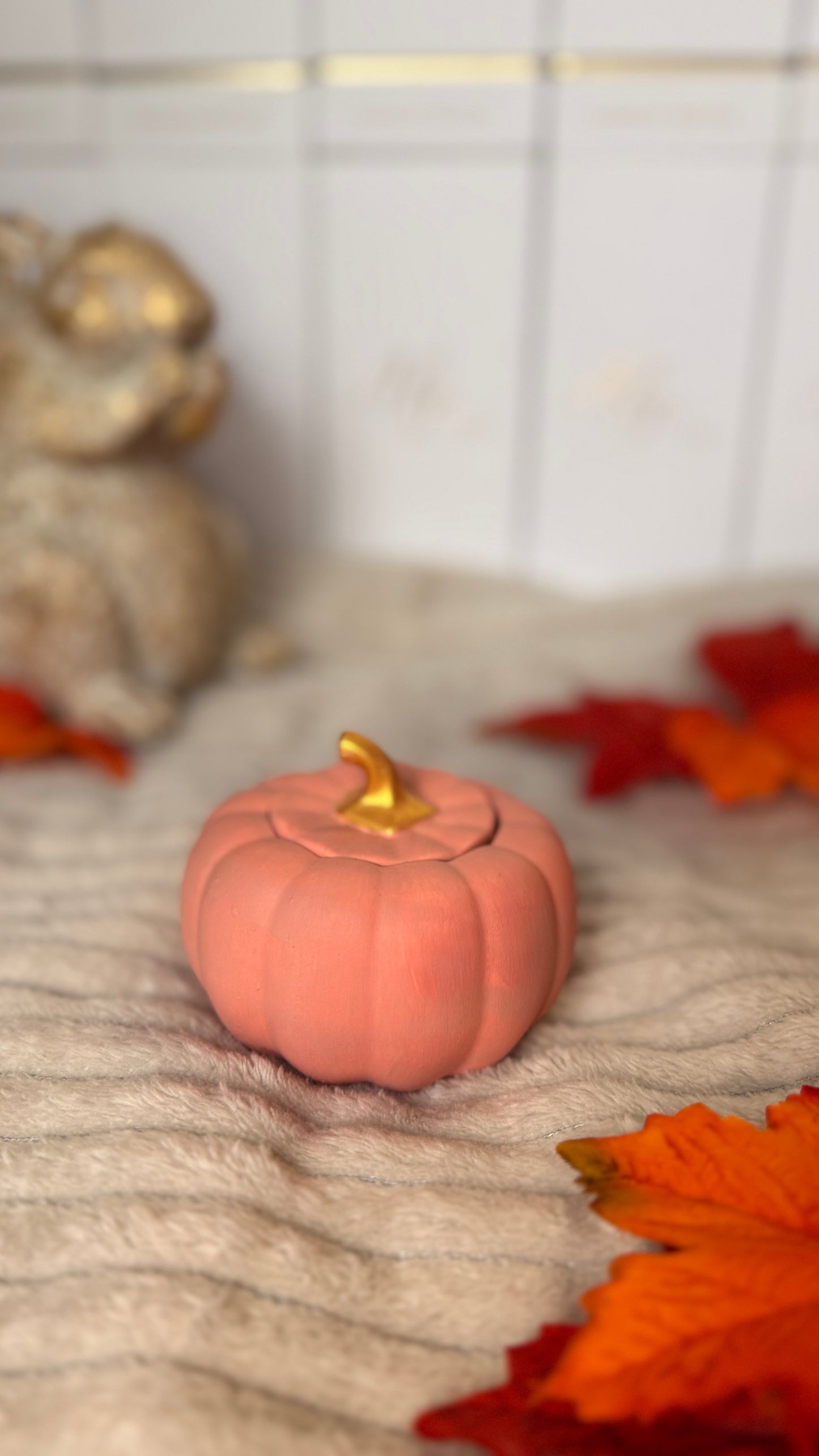 Magic Pumpkin